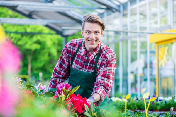 Guapo joven sonriendo feliz mientras trabajaba como florista —  Fotos de Stock