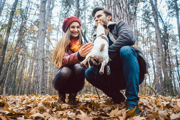 Couple de femme et homme jouant avec leur chien à l'automne — Photo