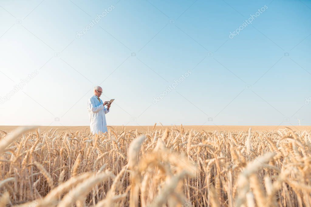 Agriculture scientist doing research in grain test field trackin