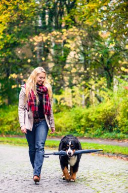 Annesi şemsiyesi sonbahar yürüyüş taşıyan köpek