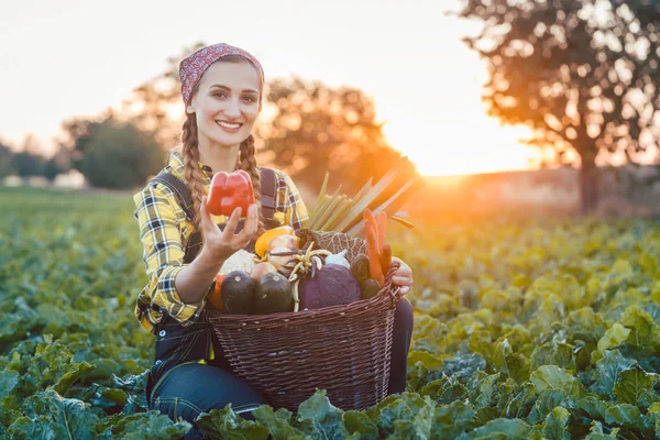 Farmer nő, értékesítés színes és egészséges zöldség — Stock Fotó