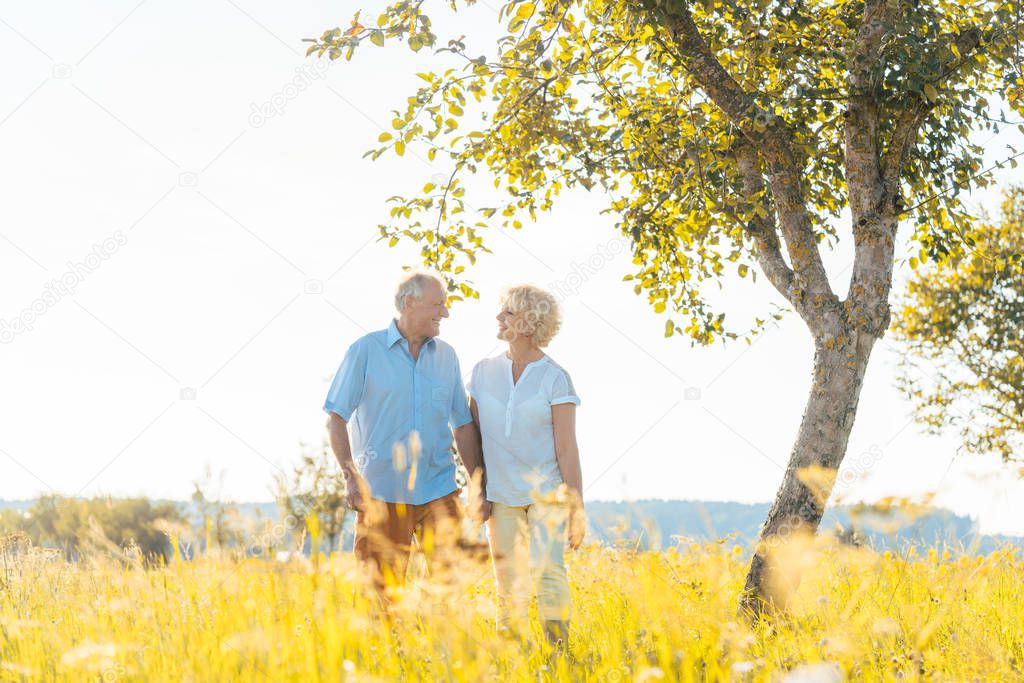 Romantic senior couple holding hands while walking together in a field