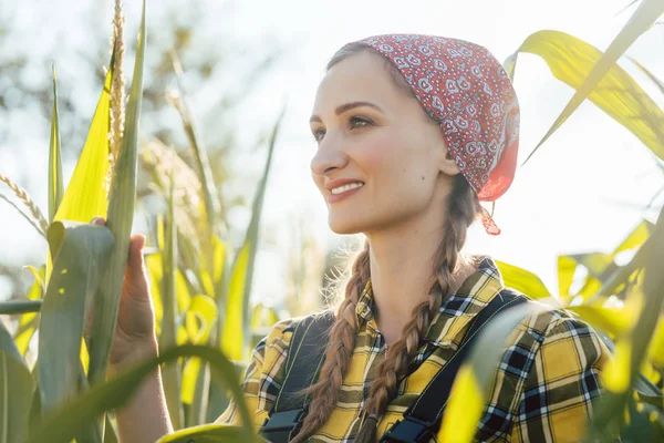 Farmer donna controlla il suo campo di mais — Foto Stock