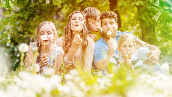 Família de cinco pessoas sentadas em um prado soprando flores de dente de leão — Fotografia de Stock