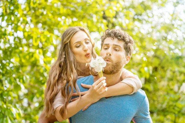 Frau und Mann auf einer Wiese in romantischer Stimmung — Stockfoto