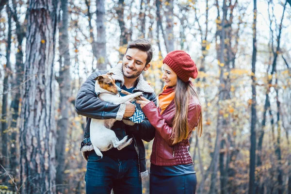 Para jesienią po spacerze z psem w parku — Zdjęcie stockowe
