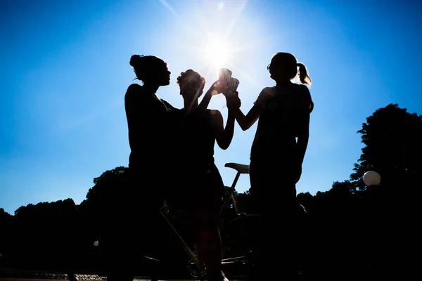 Silhouette of friends toasting drinks — Stock Photo, Image