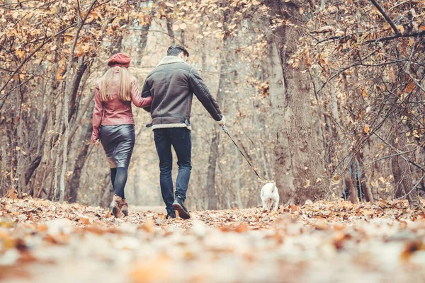 Donna e uomo in autunno passeggiano con il loro cane nel parco — Foto Stock