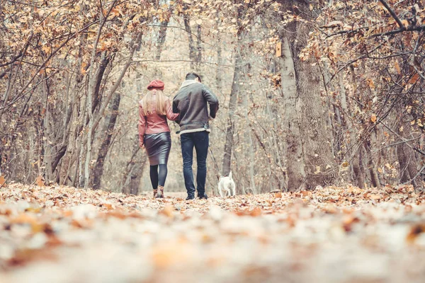 Женщина и мужчина осенью прогуливаются со своей собакой в парке — стоковое фото