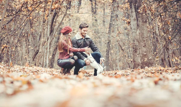 Mujer Hombre Acariciando Perro Paseando Colorido Entorno Otoño Divirtiéndose Naturaleza —  Fotos de Stock