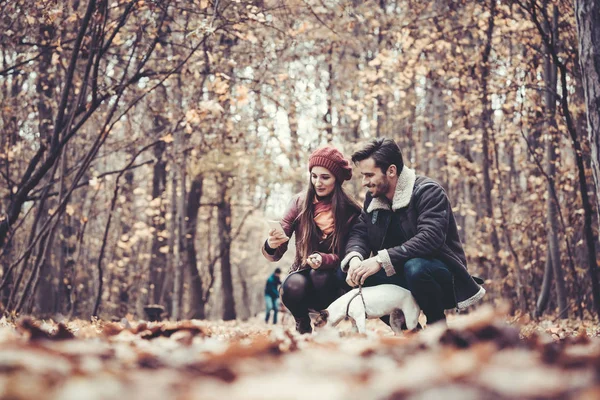 Par i höst med hund i en park — Stockfoto