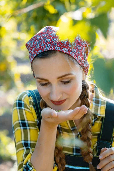 Kvinna bonden testa kvaliteten på skörden hop — Stockfoto