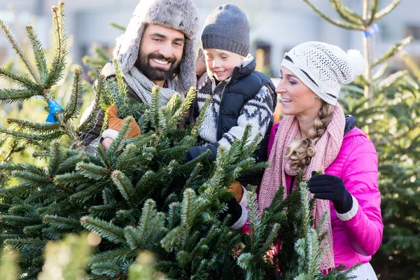 Familia comprando árbol de Navidad en el mercado — Foto de Stock