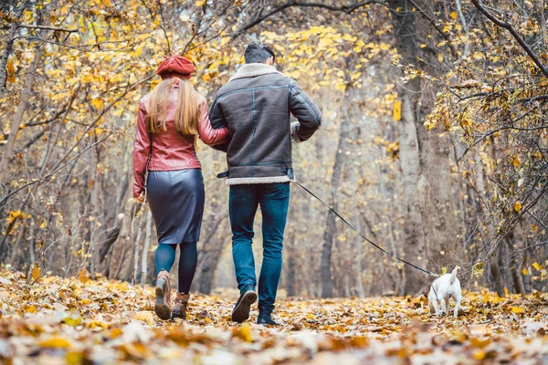 Woman and man in the fall strolling with their dog in the park — Stock Photo, Image