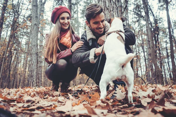 Par kvinna och man spelar med sin hund i höst — Stockfoto