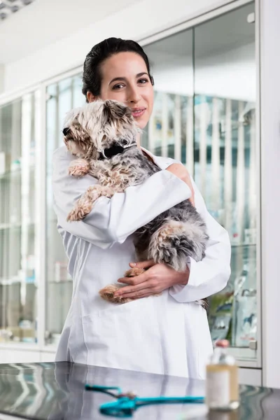 Veterinário feliz transportando cachorro doente — Fotografia de Stock