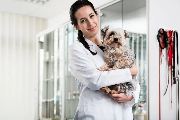 Doctor llevando cachorro enfermo — Foto de Stock