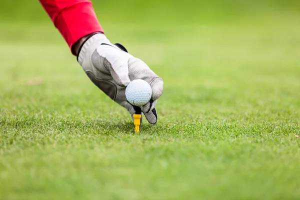 Mão colocando bola de golfe no tee — Fotografia de Stock