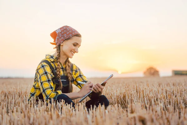 Farmer woman calculating harvest yield after a long day — Stock Photo, Image