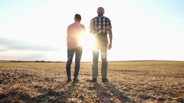 Paar senior vrouw en man met een avondwandeling — Stockvideo