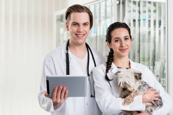Молодий чоловік і жінка ветеринар тримає цифровий планшет — стокове фото