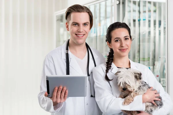 Jonge mannelijke en vrouwelijke dierenarts holding digitale tablet — Stockfoto