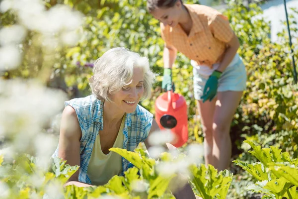 Senior e jovem mulher jardinagem juntos — Fotografia de Stock