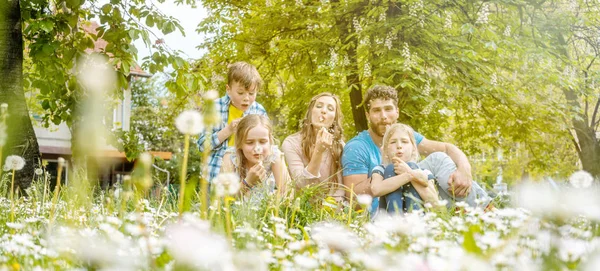 Family of five sitting on a meadow blowing dandelion flowers — Stock Photo, Image