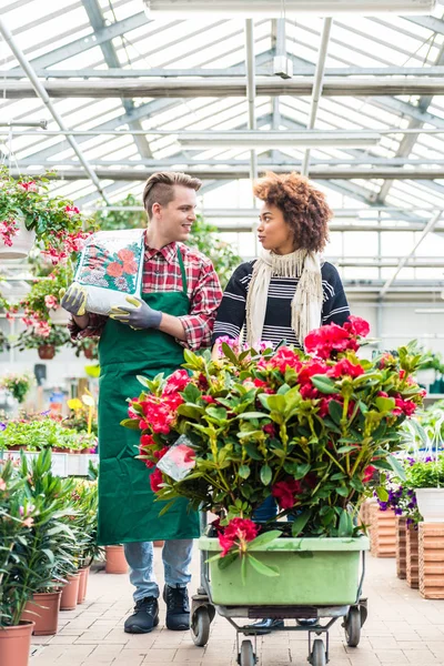 Travailleur joyeux parler avec un beau client dans un magasin de fleurs moderne — Photo