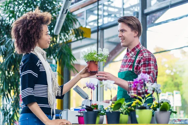 Uomo che ascolta un cliente mentre lavora come cassiere in un moderno negozio di fiori — Foto Stock