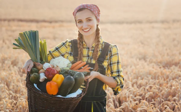 Panier femme avec légumes sains et produits localement — Photo