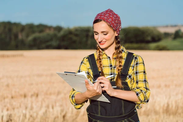 Farmer doing business administration on the field — Stock Photo, Image