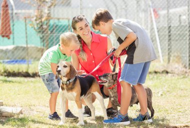 Oğulları bir hayvan barınağı köpekler yürüyüş ile anne