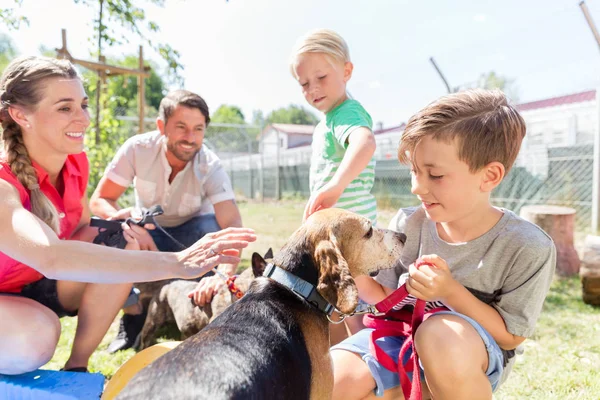 Família levando para casa um cão do abrigo animal — Fotografia de Stock