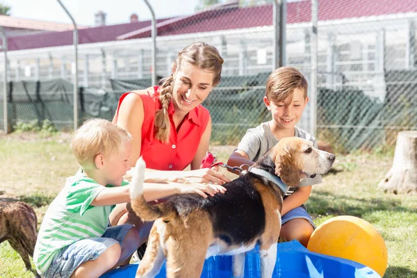 Family washing dog in pool of animal shelter taking care — Stock Photo, Image