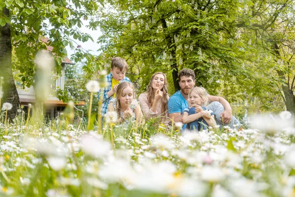 Family of five sitting on a meadow blowing dandelion flowers — Stock Photo, Image