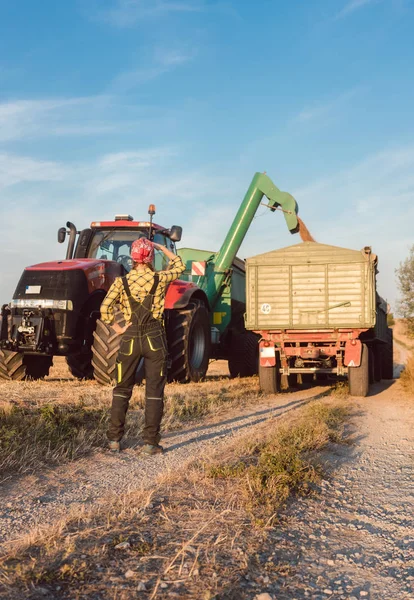 Çiftçi kadın hasat alanındaki gelişmeleri izliyor. — Stok fotoğraf