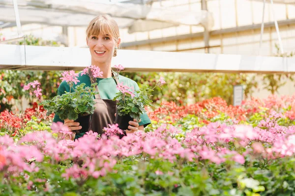 Mujer jardinero en su invernadero con flores en venta — Foto de Stock