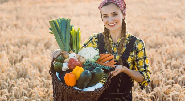 Panier femme avec légumes sains et produits localement — Photo