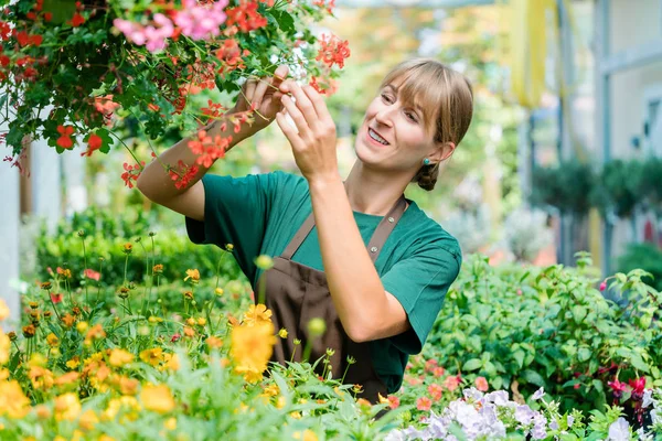 Mujer jardinero en su tienda cuidando algunas flores — Foto de Stock