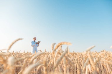 Tahıl test alanı izleme verileri araştırma yapan tarım bilim adamı
