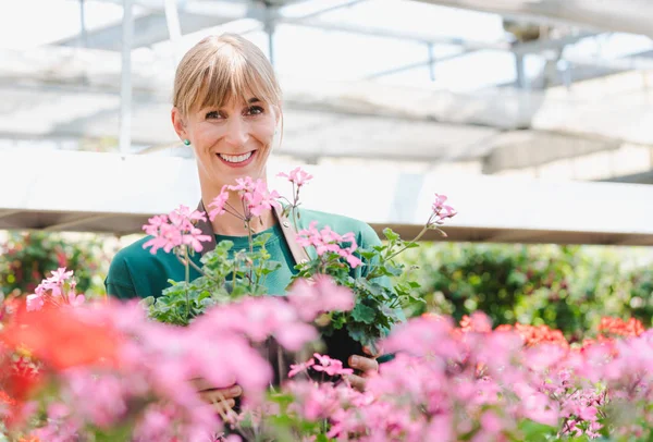 Mujer jardinero en su invernadero con flores en venta —  Fotos de Stock