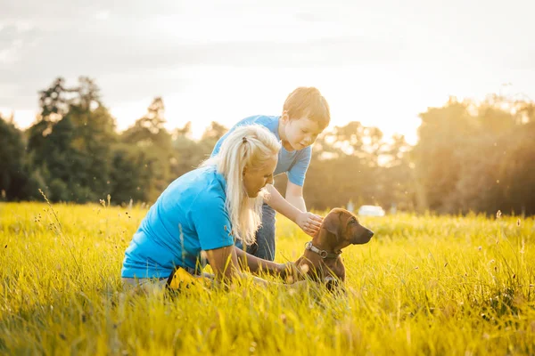 Famille avec leur chien dans la nature — Photo