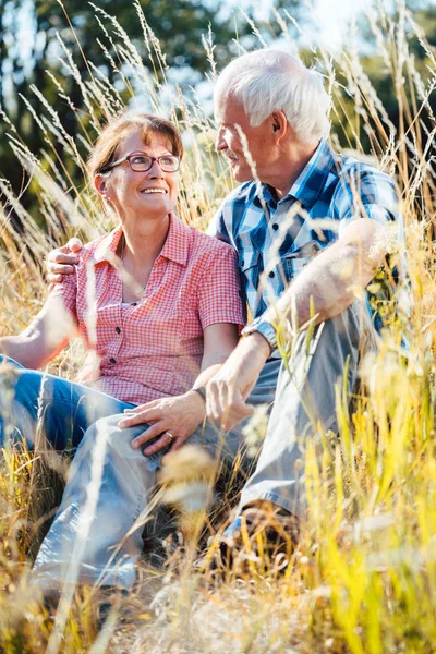 Пара пожилых женщин и мужчина, сидящие на лугу в траве — стоковое фото