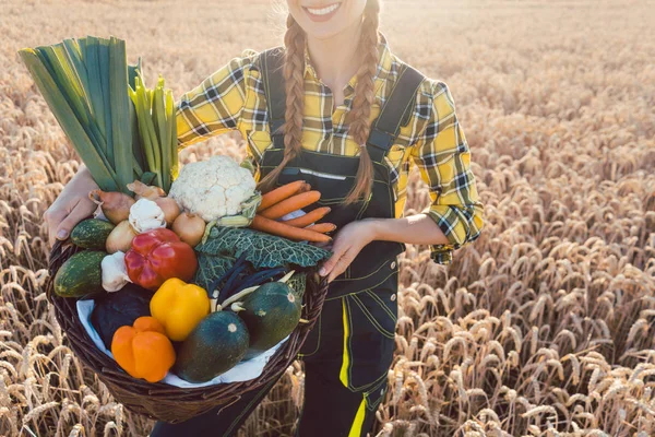 Saat panen di negara ini, petani wanita menawarkan sayur-sayuran — Stok Foto