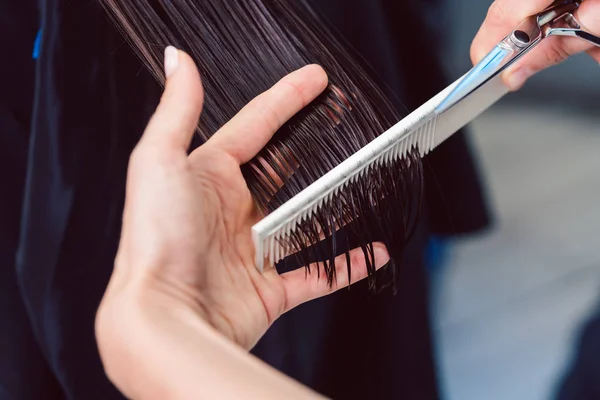 Hairdresser cutting and styling hair of woman in her shop — Stock Photo, Image