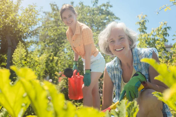 Mulher sênior trabalhando nos vegetais enquanto a filha está regando jardim — Fotografia de Stock