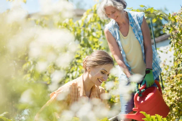 Senior and young woman gardening together — Stock Photo, Image