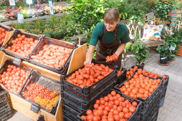 Jardineiro venda de tomates e legumes — Fotografia de Stock