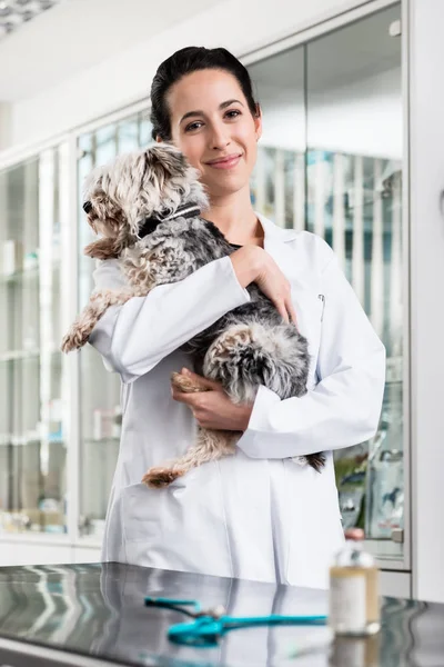 Veterinário sorridente transportando cachorro doente — Fotografia de Stock